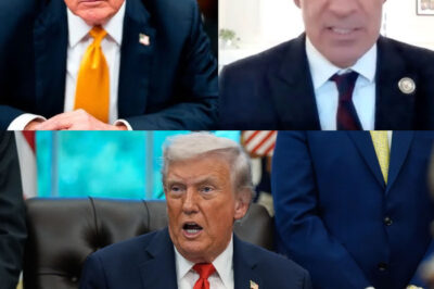 Jamie Raskin takes ACTION against Trump for effort to steal $230 million.