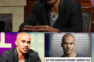 Have You Heard What Happened To Shemar Moore| It WILL SHOCK You!