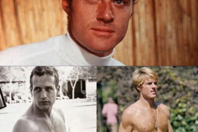 Robert Redford: The Last Rebel and the Unforgettable Legacy of a Hollywood Icon.