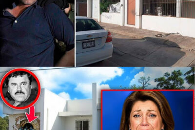 The Untouched Safe Houses of El Chapo — What They Found Inside Will Terrify You