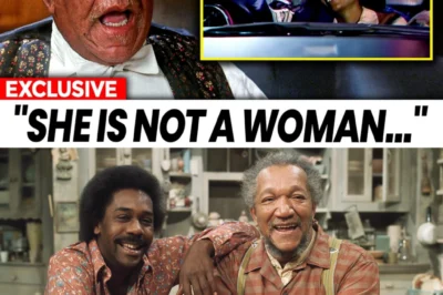 Sanford And Son (1972) Cast Reveals What Most Fans Never Figured Out.