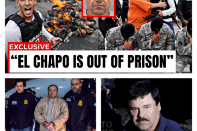Brazen Attack on El Chapo’s Prison: A New Cartel Faction Sends a Chilling Warning to the Most Feared Drug Lord.