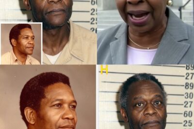 He Vanished With His Plane in 1983 — 15 Years Later, It Was Found Just Minutes From Home