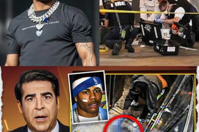 What Really Happened to Nelly? It WILL SHOCK You