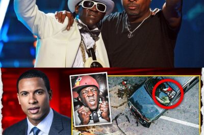 Have You Heard What Just Happened to Flavor Flav (Public Enemy) l HOW Do People Not Know