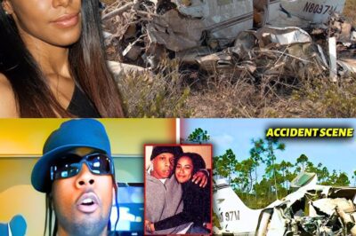 Static Major TRIED To Expose Aaliyah’s Killers | His Last Diary