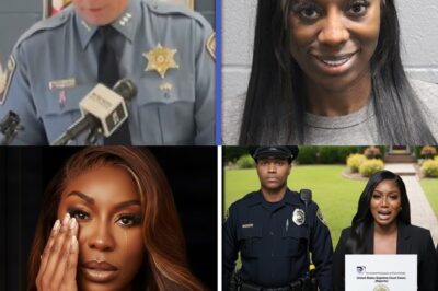 Wendy Osefo Arrested Insurance Company Wins Fake Robbery Case