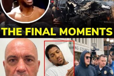 “He Should Be JAILED For Life!” Joe Rogan React to Jake Paul Involvement In Anthony Joshua Accident!