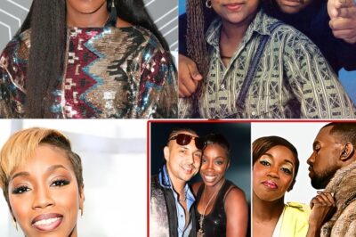 The Truth About Estelle Mysterious Exit From The MUSIC INDUSTRY