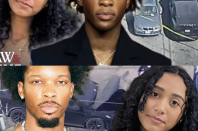 Witness No-Show Rocks D4vd Tesla Investigation: Report